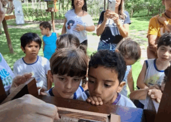 Semana das Abelhas acontece na Mata Paludosa, em Vitória, com atividades educativas sobre abelhas nativas sem ferrão, polinização e conservação.