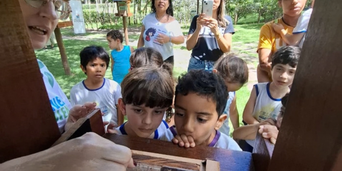 Semana das Abelhas acontece na Mata Paludosa, em Vitória, com atividades educativas sobre abelhas nativas sem ferrão, polinização e conservação.