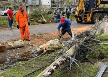 Temporais deixam 703 desabrigados e 3.231 desalojados no Rio Grande do Sul. Mais de 560 mil pessoas foram afetadas em 145 municípios.