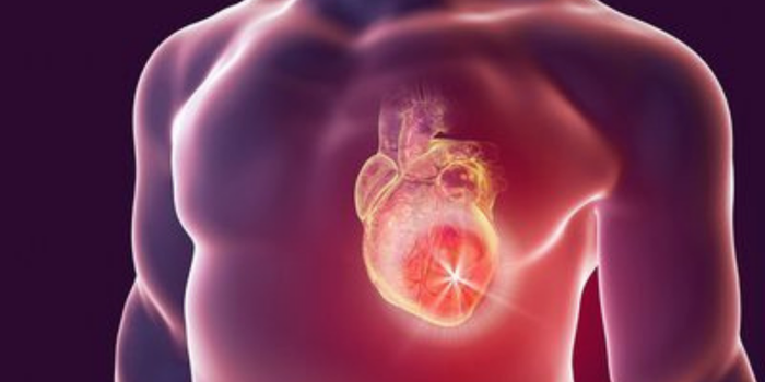 Setembro Vermelho reforça a importância da prevenção de doenças cardiovasculares, com orientações sobre hábitos saudáveis e sinais de infarto e AVC.