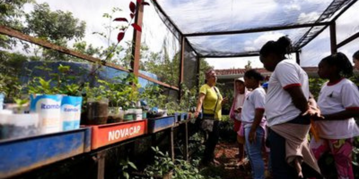 MEC institui política nacional de educação ambiental escolar com ações sobre mudanças climáticas, biodiversidade, prevenção de riscos e formação de educadores.