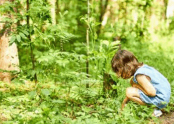 Nova Lei nº 15.512 cria o ECA Ambiental e garante prioridade de crianças e adolescentes no acesso à natureza, áreas verdes, escolas e proteção climática.