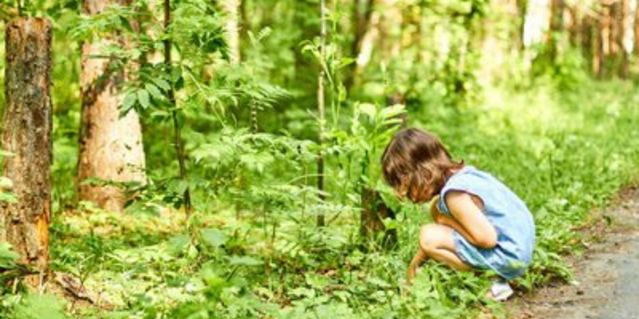 Nova Lei nº 15.512 cria o ECA Ambiental e garante prioridade de crianças e adolescentes no acesso à natureza, áreas verdes, escolas e proteção climática.