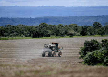 Brasil reduziu a distância para os Estados Unidos nas exportações agrícolas em 2025 e pode se aproximar da liderança mundial em 2026.