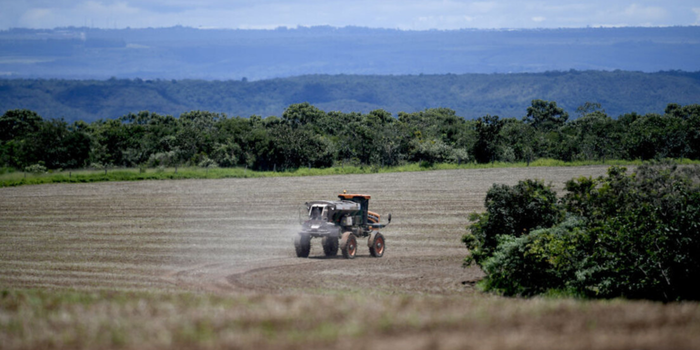 Brasil reduziu a distância para os Estados Unidos nas exportações agrícolas em 2025 e pode se aproximar da liderança mundial em 2026.