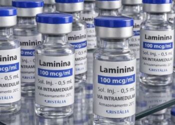 Testes clínicos da polilaminina começam em setembro com cinco pacientes e vão avaliar a segurança da substância para lesões na medula.