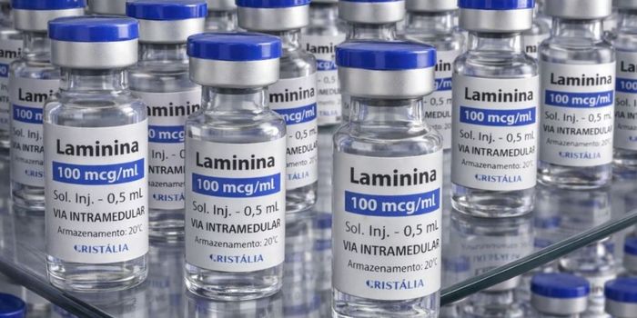 Testes clínicos da polilaminina começam em setembro com cinco pacientes e vão avaliar a segurança da substância para lesões na medula.