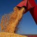 Safra 2025/26 deve alcançar 361,7 milhões de toneladas de grãos, segundo a Conab. Soja e milho puxam crescimento da produção brasileira.