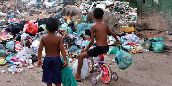Projeto aprovado pelo Senado amplia os direitos ambientais de crianças e adolescentes e aguarda sanção do presidente Lula.
