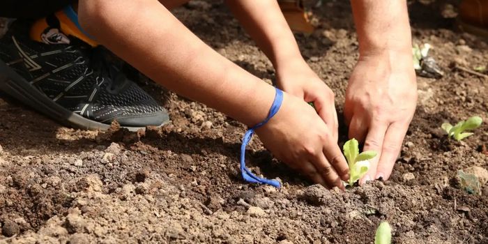 Entidades de São Paulo lançam carta de compromissos para candidatos com propostas de agroecologia, agricultura familiar e combate aos agrotóxicos.