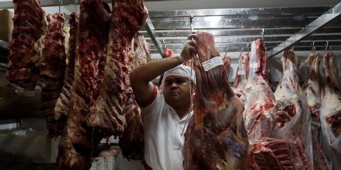 União Europeia restringe importação de carnes e outros produtos animais do Brasil a partir desta quinta-feira (3).