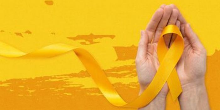 Dia Mundial de Prevenção do Suicídio reforça a importância da saúde mental e mostra como a internet pode ajudar na busca por informação e apoio.