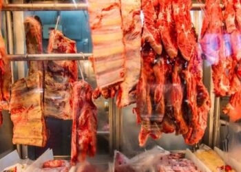 União Europeia suspende importações de carne brasileira em 3 de setembro por regras sobre antimicrobianos. Auditoria sobre frango e mel está em andamento.União Europeia suspende importações de carne brasileira em 3 de setembro por regras sobre antimicrobianos. Auditoria sobre frango e mel está em andamento.