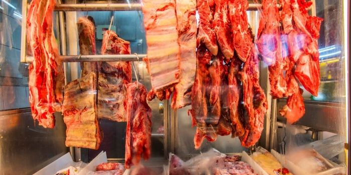 União Europeia suspende importações de carne brasileira em 3 de setembro por regras sobre antimicrobianos. Auditoria sobre frango e mel está em andamento.União Europeia suspende importações de carne brasileira em 3 de setembro por regras sobre antimicrobianos. Auditoria sobre frango e mel está em andamento.