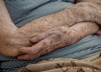 Levantamento com dados do IBGE mostra queda de 300 mil nos domicílios com idosos em situação de insegurança alimentar entre 2023 e 2024.