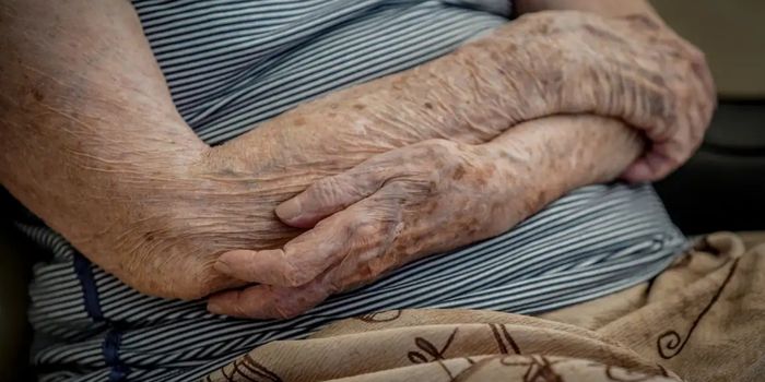 Levantamento com dados do IBGE mostra queda de 300 mil nos domicílios com idosos em situação de insegurança alimentar entre 2023 e 2024.
