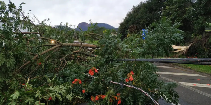 Frente fria avança pelo Sul do Brasil e aumenta o risco de tempestades, chuva forte, granizo e ventos intensos em vários estados.