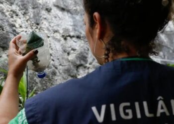 São Paulo registra 58.683 casos de dengue e 42 mortes em 2026. Outras 30 mortes estão sob investigação, segundo a Secretaria da Saúde.