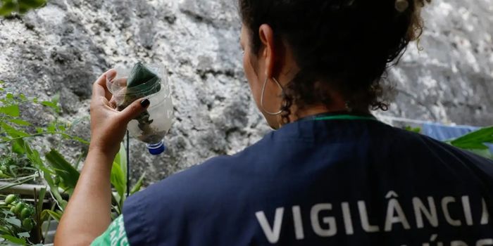 São Paulo registra 58.683 casos de dengue e 42 mortes em 2026. Outras 30 mortes estão sob investigação, segundo a Secretaria da Saúde.