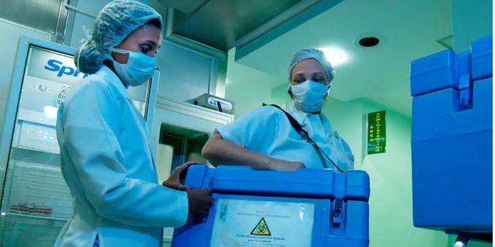 Recusa familiar ainda impede cerca de 45% das doações de órgãos no Brasil. Especialistas defendem melhor comunicação e preparo das equipes de saúde.