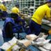TST determina que 80% dos trabalhadores dos Correios permaneçam em atividade durante a greve. Decisão cita serviços essenciais e eleições de 2026.