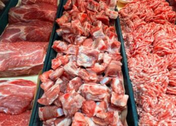 Rússia aumenta em 80,62% as compras de carne bovina de Mato Grosso em agosto. Estados Unidos e Filipinas também ampliaram os embarques.