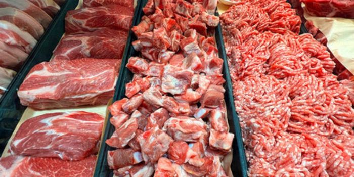 Rússia aumenta em 80,62% as compras de carne bovina de Mato Grosso em agosto. Estados Unidos e Filipinas também ampliaram os embarques.