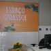 Espaço Girassol, em Vitória, completa três anos com mais de 7,8 mil atendimentos e 500 servidores acolhidos em ações de saúde mental.