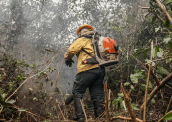 Amazonas registra 540 focos de incêndio em dois dias. Força-tarefa reúne brigadistas, aeronaves e equipes de saúde para combater as queimadas e atender moradores.