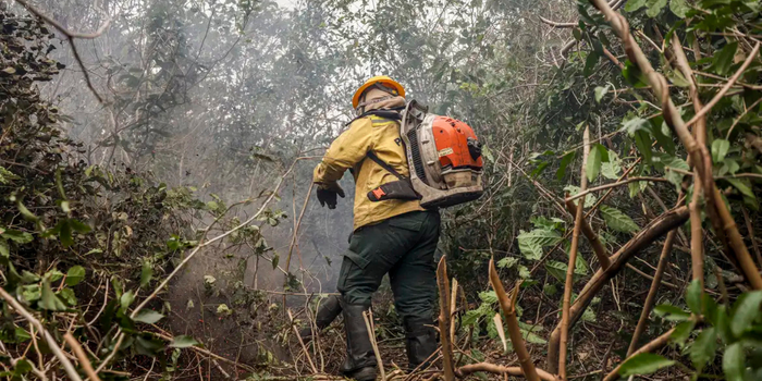 Amazonas registra 540 focos de incêndio em dois dias. Força-tarefa reúne brigadistas, aeronaves e equipes de saúde para combater as queimadas e atender moradores.