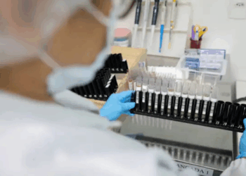 Anvisa autoriza testes em humanos da Vivaxin, vacina brasileira contra a malária causada pelo Plasmodium vivax, responsável pela maioria dos casos no Brasil.