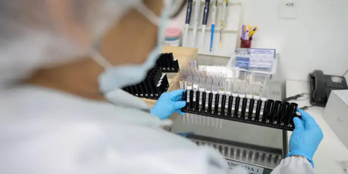Anvisa autoriza testes em humanos da Vivaxin, vacina brasileira contra a malária causada pelo Plasmodium vivax, responsável pela maioria dos casos no Brasil.