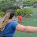 PL 408/2026 cria regras de segurança para bungee jump, rope jump e outras atividades de salto em altura realizadas no Espírito Santo.