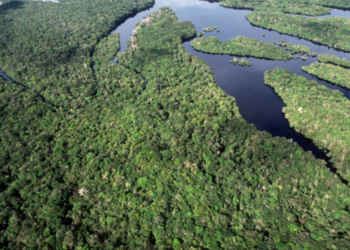 Desmatamento na Amazônia recua 41,8% e no Cerrado cai 23,8% em 2026, segundo dados do INPE divulgados pelo Governo Federal.