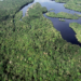 Desmatamento na Amazônia recua 41,8% e no Cerrado cai 23,8% em 2026, segundo dados do INPE divulgados pelo Governo Federal.