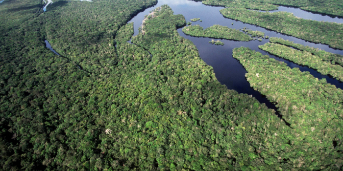 Desmatamento na Amazônia recua 41,8% e no Cerrado cai 23,8% em 2026, segundo dados do INPE divulgados pelo Governo Federal.