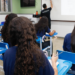 Sedu abre chamada escolar para 2027 no Espírito Santo, com previsão de 230 mil vagas em 384 escolas estaduais. Confira prazos, documentos e como participar.