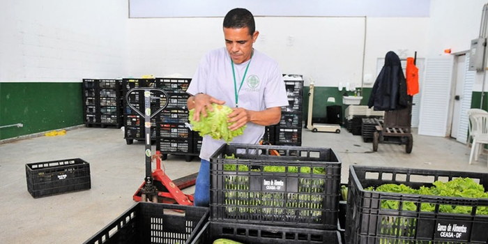 Projeto de lei no Senado cria o Programa Prato Farto para combater a fome e o desperdício de alimentos por meio da doação de excedentes próprios para consumo.