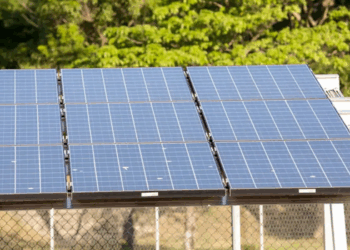 Quinto Leilão do Eco Invest Brasil homologa R$ 49,95 bilhões em investimentos verdes e prevê R$ 250 milhões em recursos não reembolsáveis para pesquisa e inovação.
