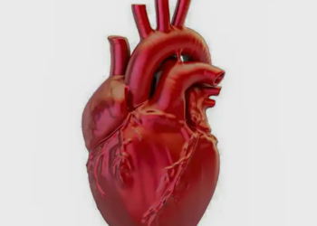 Brasil soma 318.945 mortes por doenças cardiovasculares até outubro de 2026. Plataforma da SBC reúne dados e alerta para a importância da prevenção.