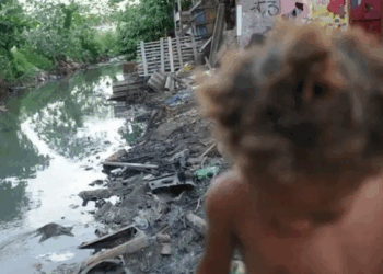 El Niño 2026–2027 pode afetar mais de 30 milhões de crianças e adolescentes no Brasil, segundo alerta do Unicef sobre riscos climáticos.