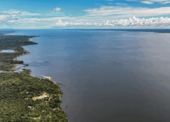 Confira as propostas de Lula e Flávio Bolsonaro para o meio ambiente, com diferenças sobre mudanças climáticas, desmatamento, Amazônia e povos indígenas.