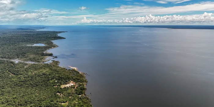 Confira as propostas de Lula e Flávio Bolsonaro para o meio ambiente, com diferenças sobre mudanças climáticas, desmatamento, Amazônia e povos indígenas.