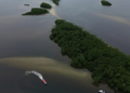 COP17 termina na Armênia com alerta sobre avanços insuficientes na proteção da biodiversidade e necessidade de ampliar o financiamento ambiental.
