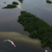 COP17 termina na Armênia com alerta sobre avanços insuficientes na proteção da biodiversidade e necessidade de ampliar o financiamento ambiental.