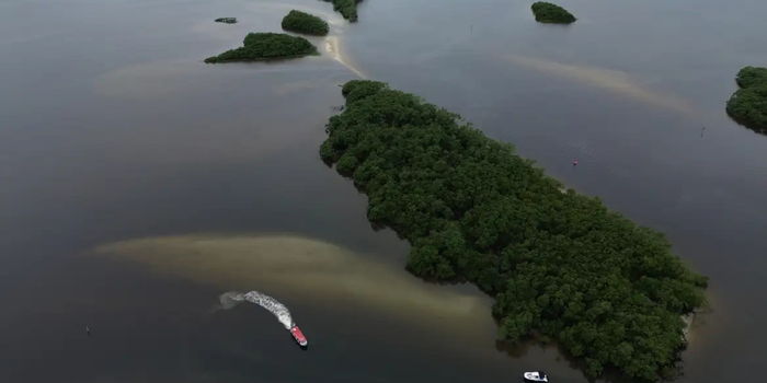 COP17 termina na Armênia com alerta sobre avanços insuficientes na proteção da biodiversidade e necessidade de ampliar o financiamento ambiental.
