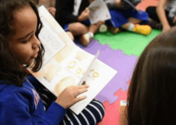 Escolas públicas podem escolher até 31 de outubro os livros e materiais pedagógicos da Educação Infantil pelo sistema PNLD Gestão, para o período de 2026 a 2029.