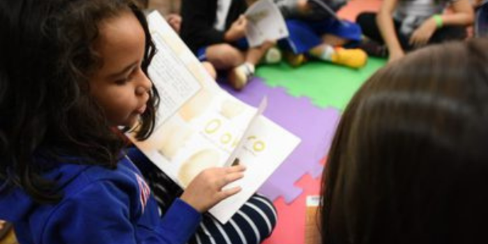 Escolas públicas podem escolher até 31 de outubro os livros e materiais pedagógicos da Educação Infantil pelo sistema PNLD Gestão, para o período de 2026 a 2029.