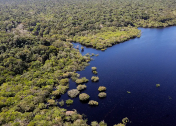 Estudo da FGV estima que a redução do desmatamento na Amazônia e no Cerrado pode ter evitado R$ 1,16 trilhão em danos climáticos globais.