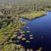 Estudo da FGV estima que a redução do desmatamento na Amazônia e no Cerrado pode ter evitado R$ 1,16 trilhão em danos climáticos globais.